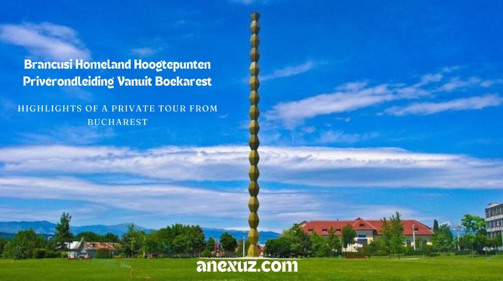 Brancusi Homeland Hoogtepunten Privérondleiding Vanuit Boekarest